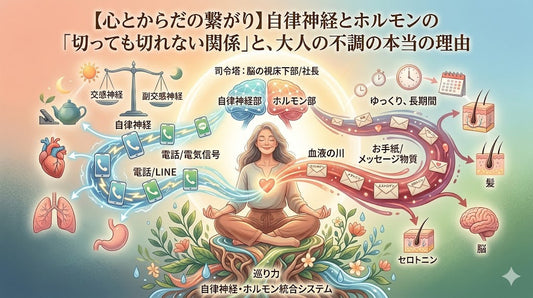 【心とからだの繋がり】自律神経とホルモンの「切っても切れない関係」と、大人の不調の本当の理由