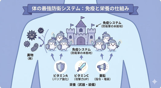 「免疫力を高めたい」その前に。知っておきたい体の最強防衛システムの話。
