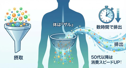 そのサプリ、届いていますか？ 大人の栄養補給に立ちはだかる「2つの盲点」