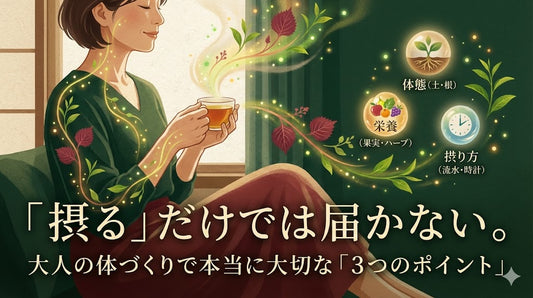「摂る」だけでは届かない。大人の体づくりで本当に大切な「3つのポイント」