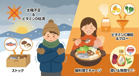 【冬の栄養学】「なんとなく不調」は日照不足のせい？冬に枯渇する「太陽のビタミン」と「バリア機能」を守る方法。