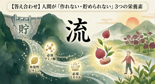 【答え合わせ】人間が「作れない・貯められない」3つの栄養素の正体と、賢い「フロー型」投資の話。