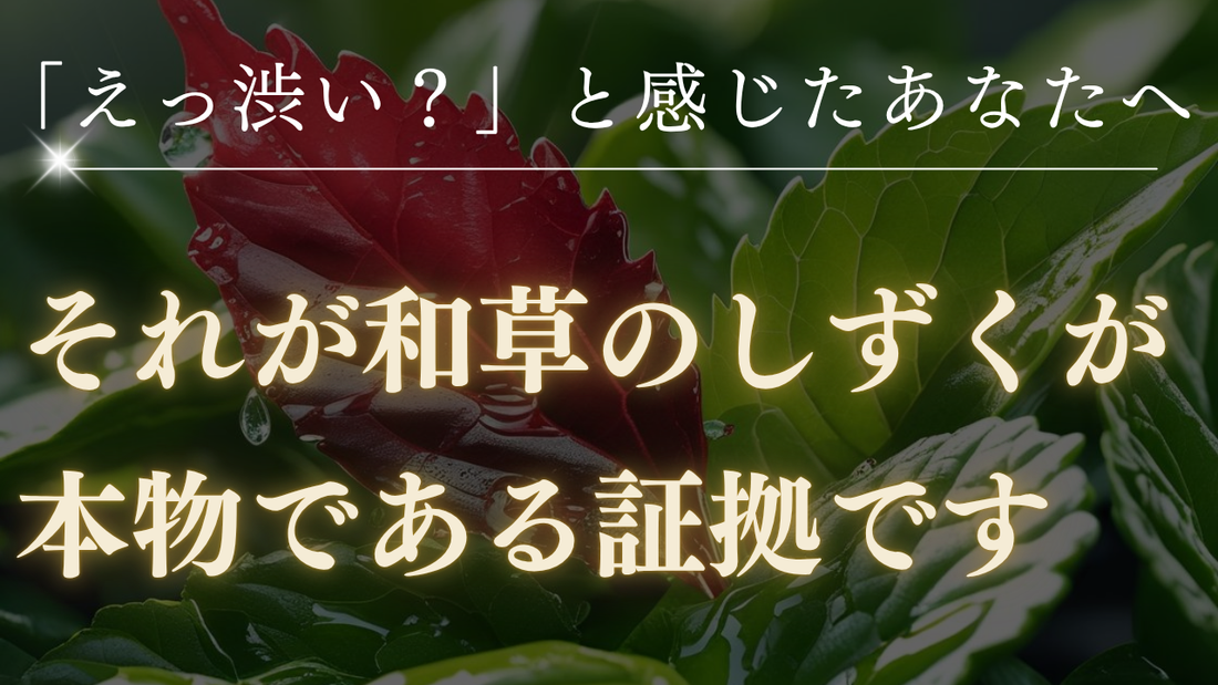 「えっ、渋い？」と感じたあなたへ。それが『和草のしずく』が本物である証拠です。〜効果的な食べ方＆習慣化のコツ〜